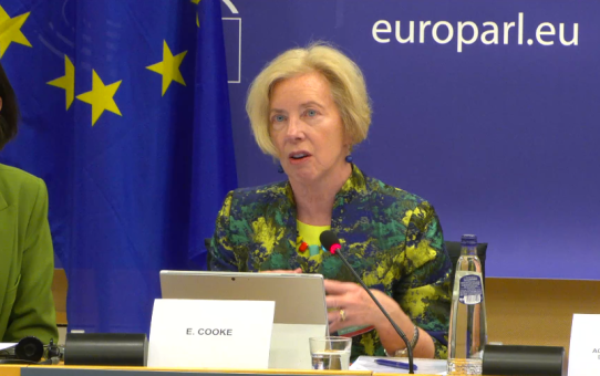 EMA-Präsidentin mit Fehlinformationen vor EU-Sonderausschuss